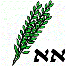 Extra Hadassim - Aleph Aleph